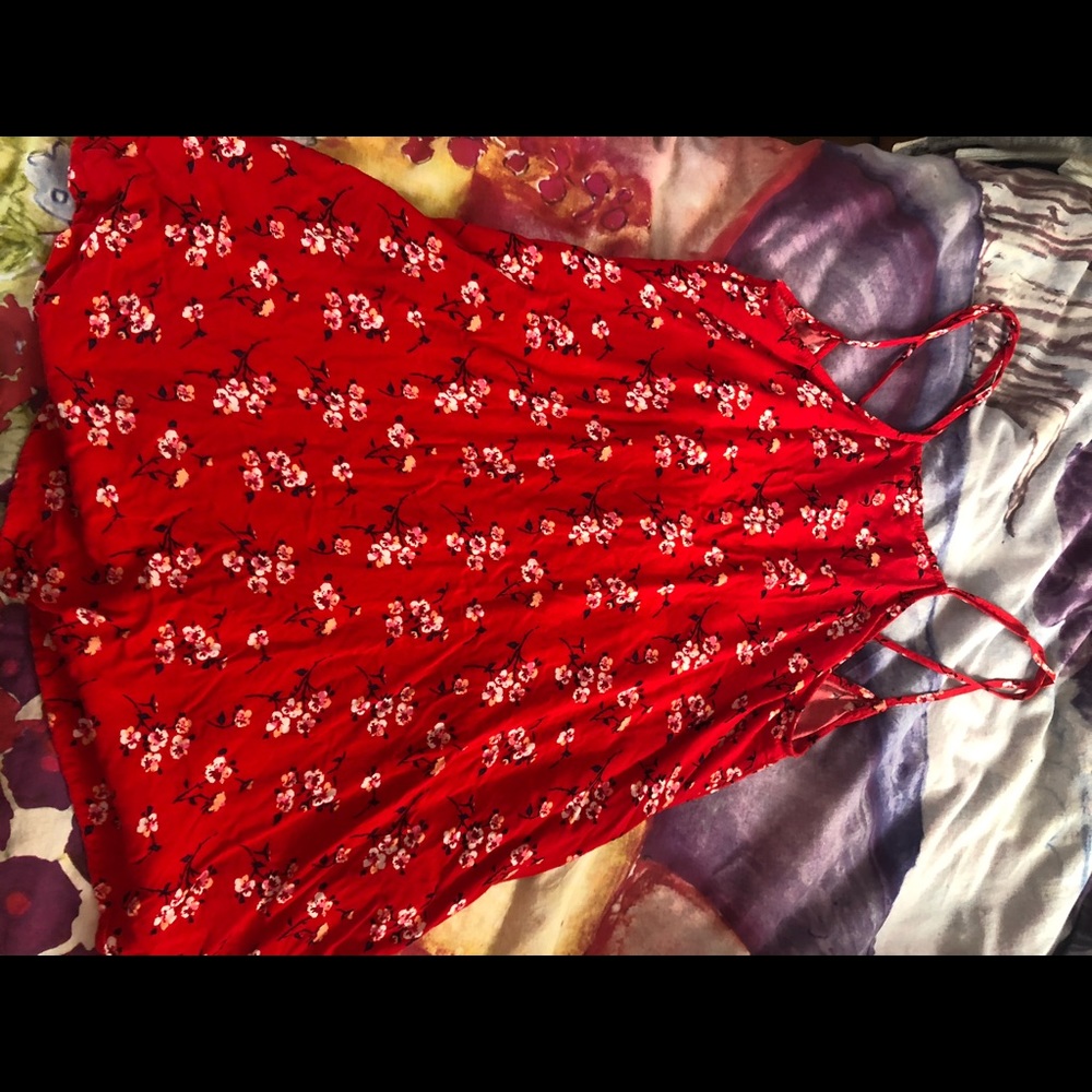 TJ Maxx Red Floral Sleeveless Dress